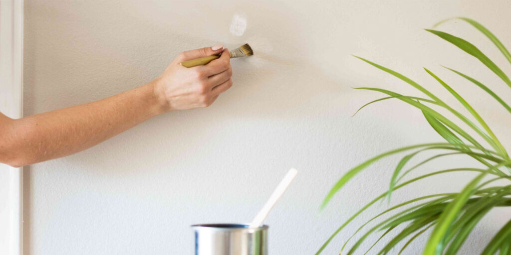 Hand touching up a small area on a wall using a fine paintbrush, next to a plant.